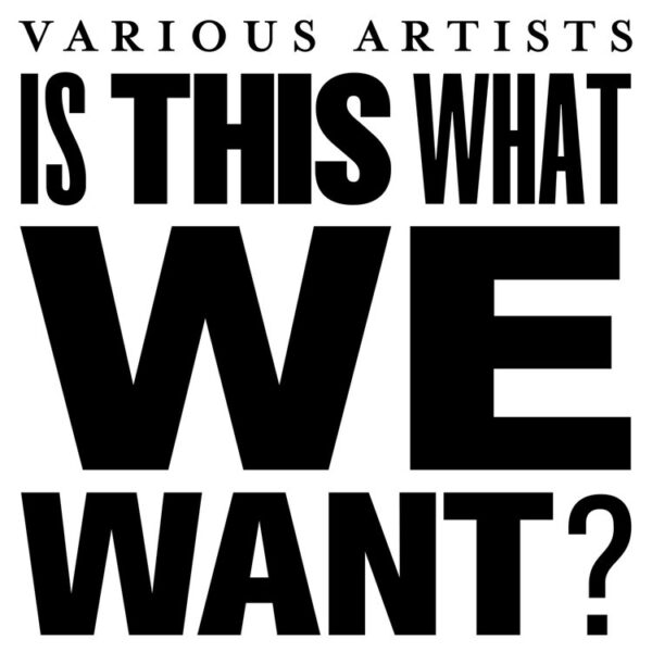 Various Artists - Is This What We Want?